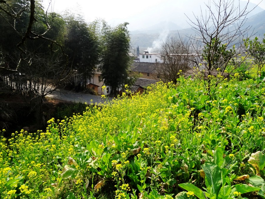 DSC04286_调整大小_conew1.JPG