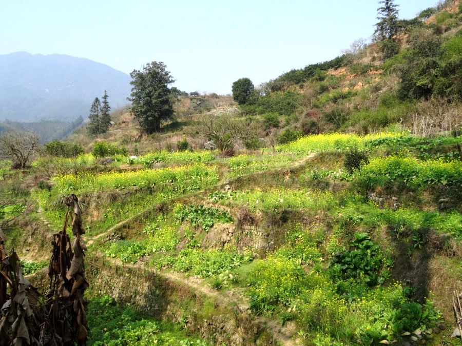 DSC04298_调整大小_conew1.JPG