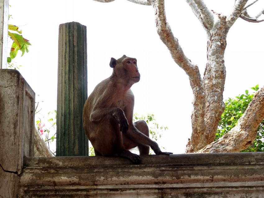 DSC05110_conew1.JPG