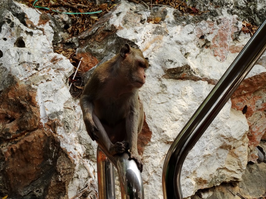 DSC05178_conew1.JPG