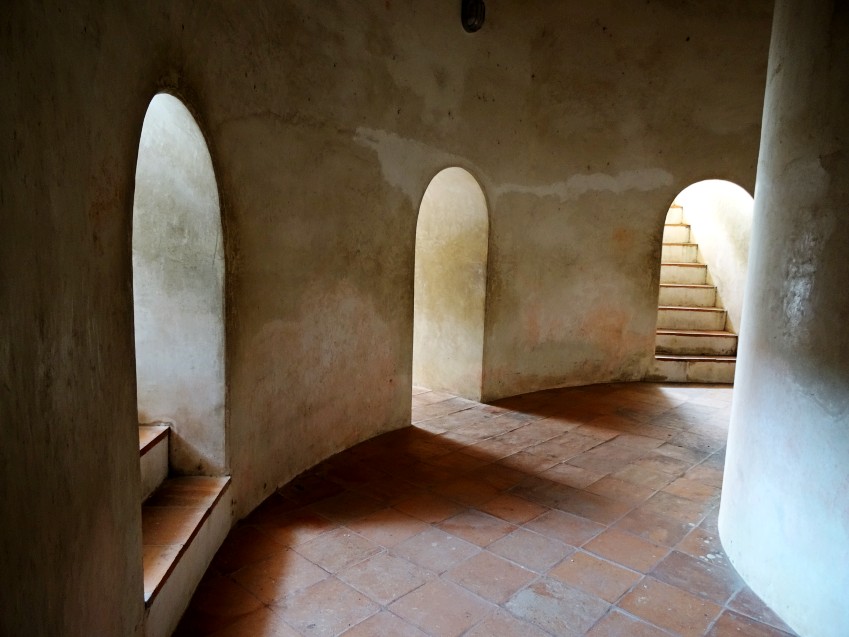 DSC05164_conew1.JPG
