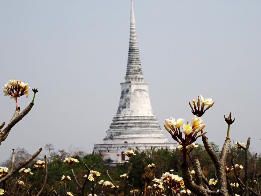 DSC05151_conew1.JPG