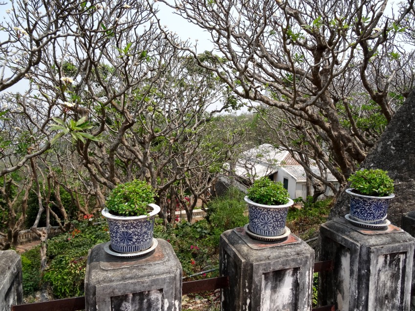 DSC05119_conew1.JPG