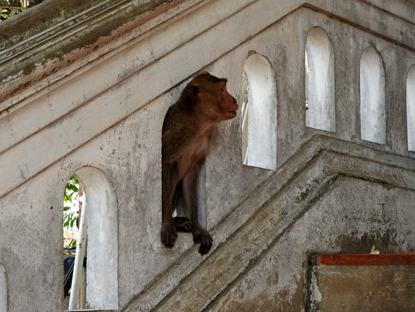DSC05111_conew1.JPG
