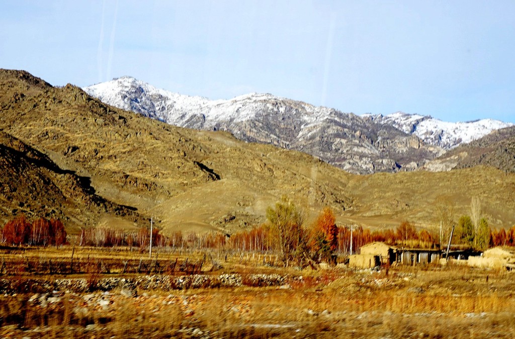 DSC00504_1024.jpg