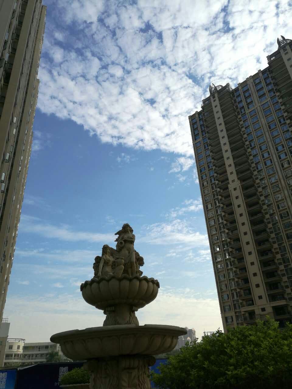 mmexport1480838593665.jpg