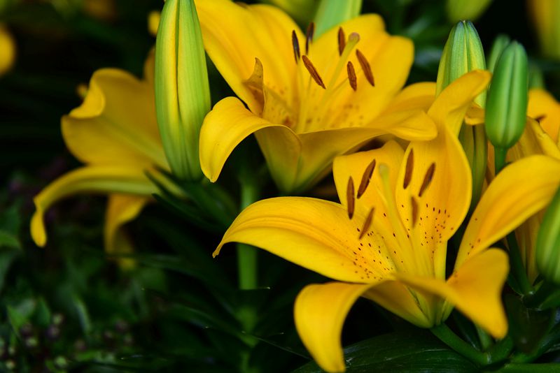 DSC_2766.JPG