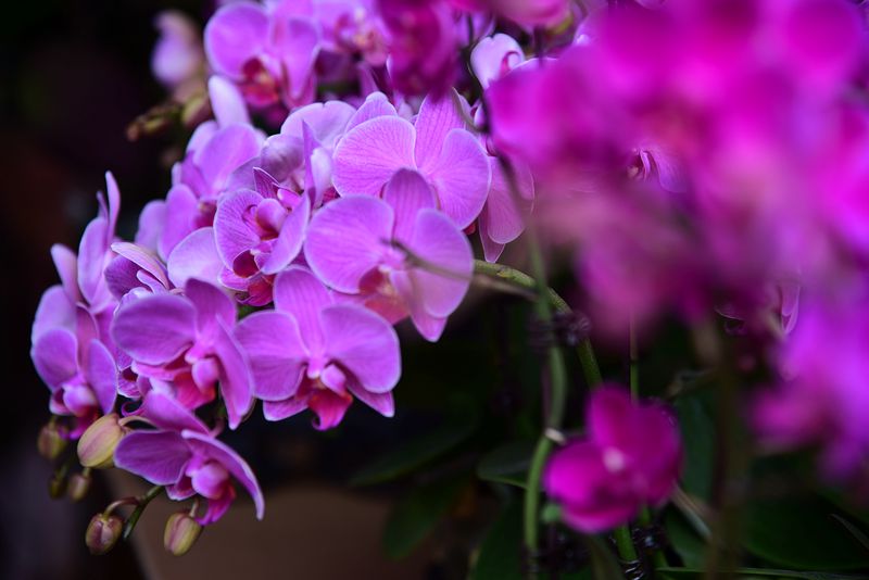 DSC_2783.JPG