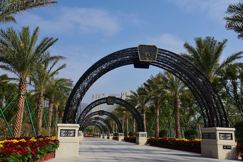 DSC_4944.JPG