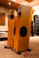 德国飞星Audio Physic Tempo Plus 落地音箱 图2