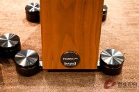 德国飞星Audio Physic Tempo Plus 落地音箱 图4