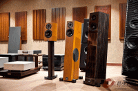 德国飞星Audio Physic Tempo Plus 落地音箱 图5