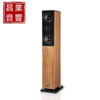 德国飞星Audio Physic Classic 10 落地音箱 图1