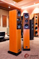 德国飞星Audio Physic Classic 10 落地音箱 图2
