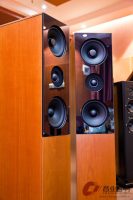 德国飞星Audio Physic Classic 10 落地音箱 图3