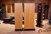 德国飞星Audio Physic Classic 30 落地音箱 图3