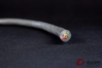 英国奇宝 TALK SYMPHONY 3 喇叭线 图2