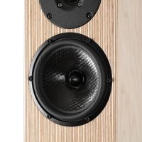 芬兰Penaudio Talvi 落地音箱 图5