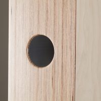芬兰Penaudio Talvi 落地音箱 图6