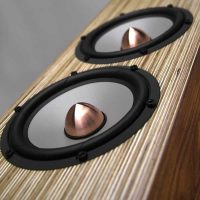 芬兰Penaudio Serenade Signature 落地音箱 图6