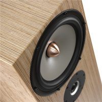 芬兰Penaudio Alba Signature 落地音箱 图5