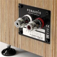 芬兰Penaudio Alba Signature 落地音箱 图6