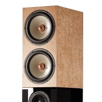 芬兰Penaudio Karelia 落地音箱 图2