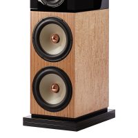芬兰Penaudio Karelia 落地音箱 图4