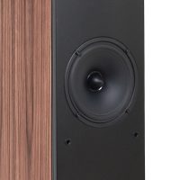 芬兰Penaudio Ambient Two 落地音箱 图3
